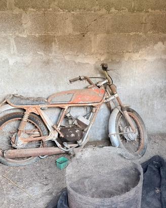Testi Champion 50cc d'epoca