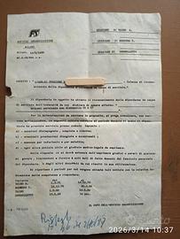 Documentazione rara anni '70-'80 FS Ufficio Organi