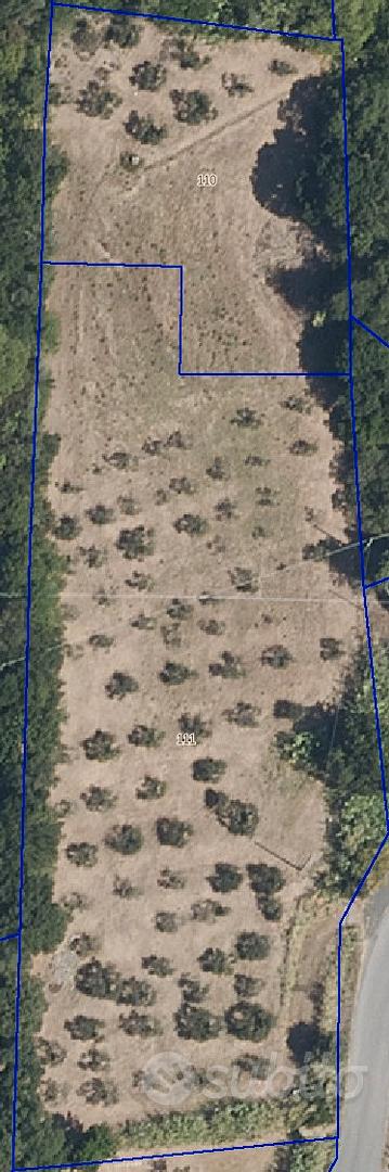 Terreno Agricolo - Gabbro (Rosignano Marit - Vista 6