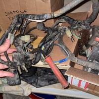 Cablaggi Honda XL 600 LM