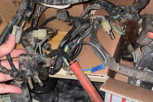 Cablaggi Honda XL 600 LM