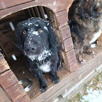 Nuova casa felice per Alundra