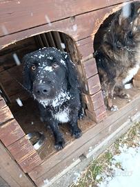 Nuova casa felice per Alundra