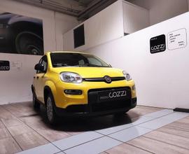 FIAT Panda 3ª serie - Panda 1.0 FireFly S&S Hybrid