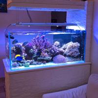 acquario marino 400 L