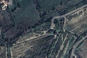 Vendita terreno coltivabile