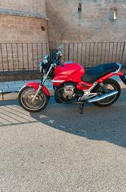 Moto Guzzi Breva 750 Touring2010  condizioni ottim