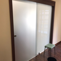 Porta in ctistallo vetro temperato satinato