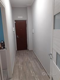 Appartamento contratto annuale rinnovabile