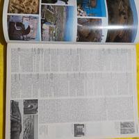 dizionario della lingua italiana 