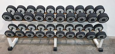 Serie manubri da 4-30kg Technogym