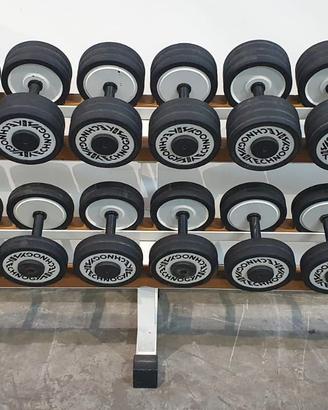 Serie manubri da 4-30kg Technogym