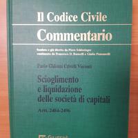 Scioglimento e liquidazione delle soc. di capitali