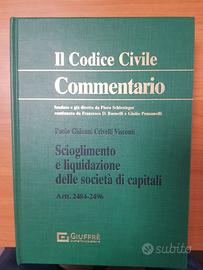 Scioglimento e liquidazione delle soc. di capitali