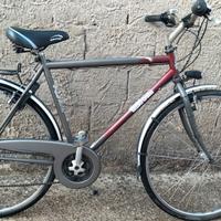 City bike 28"18v telaio acciaio 