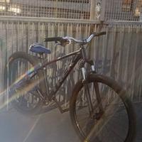 whellie bike trek