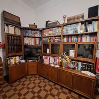 Mobile sala/libreria in legno massello