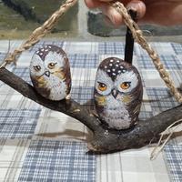 gufi dipinti a mano  su sassi