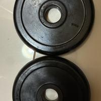 Set pesi in ghisa TASPORT – 1 kg