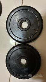 Set pesi in ghisa TASPORT – 1 kg