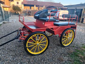 Carrozza wagonette
