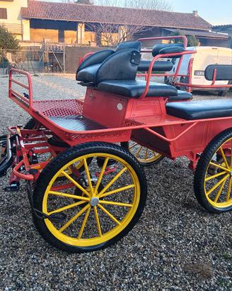 Carrozza wagonette