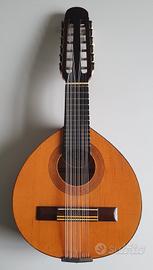 Bandurria spagnola 