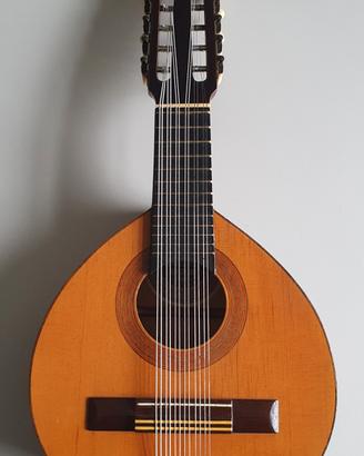 Bandurria spagnola 