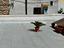 Immagine 12