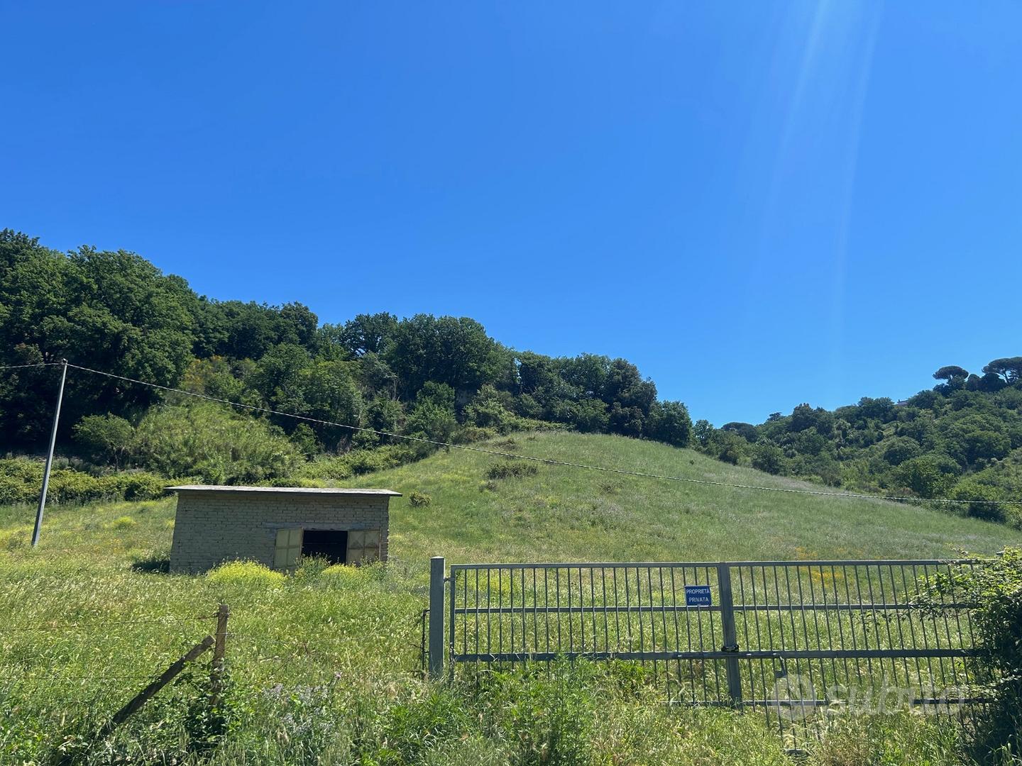 Terreno agricola con rustico - Vista 5