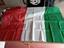 Immagine 5