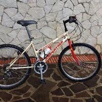 Bici per ragazzi