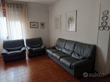 Divano e poltrone in pelle