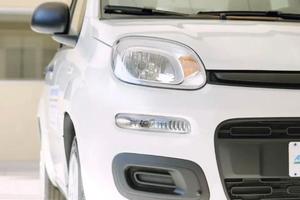 Fiat Panda hybrid pop