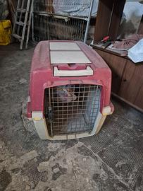 Trasportino cane