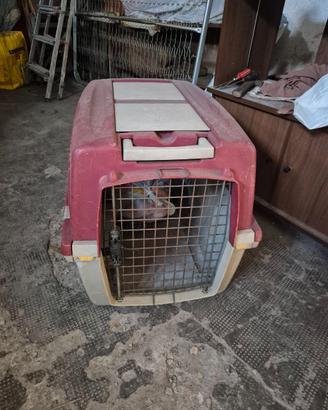 Trasportino cane