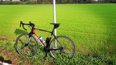 Scultura Merida 5000