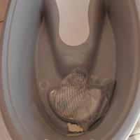 vaschetta per bagnetto 