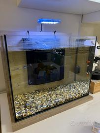 Acquario Zolux 50L completo – Design moderno