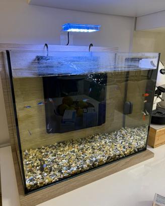 Acquario Zolux 50L completo – Design moderno