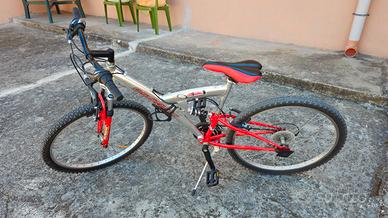 bici da 24