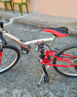 bici da 24