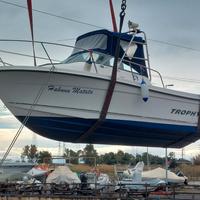 BAYLINER TROPHY 20.52 + 150hp MERCURY (2015)