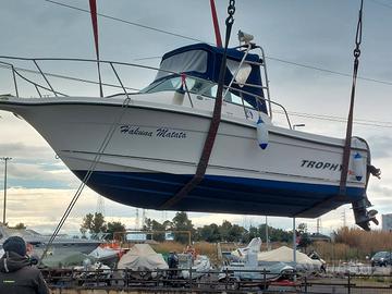 BAYLINER TROPHY 20.52 + 150hp MERCURY (2015)