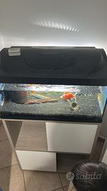 Acquario 55 l completo di accessori mobile