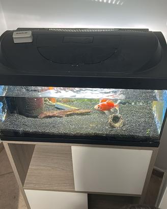 Acquario 55 l completo di accessori mobile