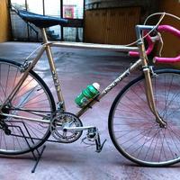 Bici da corsa Iseo