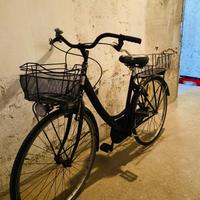 Bici con cestini