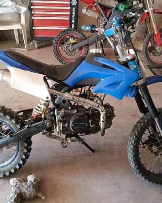 pit bike 125 2021