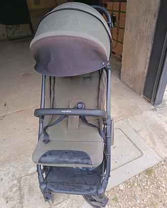 inglesina maior